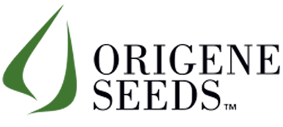 Origene Seeds