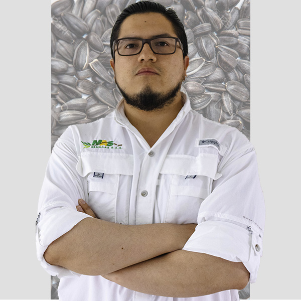 Juan Guillermo Zapata ramirez MAS SEMILLAS